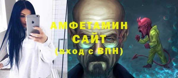 ГАЛЛЮЦИНОГЕННЫЕ ГРИБЫ Алзамай