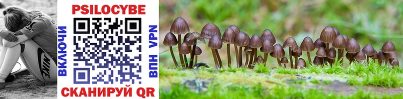 kraken ССЫЛКА  Зарайск  Псилоцибиновые грибы GOLDEN TEACHER 